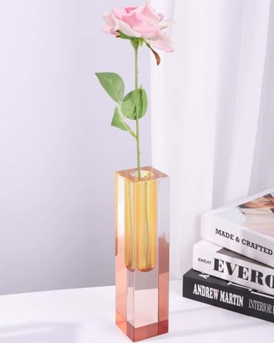 Acrylic Vase, Bud Vase for Centerpieces, Maximalist Decor Cute Flowers Vases for Modern Home, Office, Bedroom, Living Room, Dining Table (Fluorescent Orange, Brown) - color: Orange, Brown