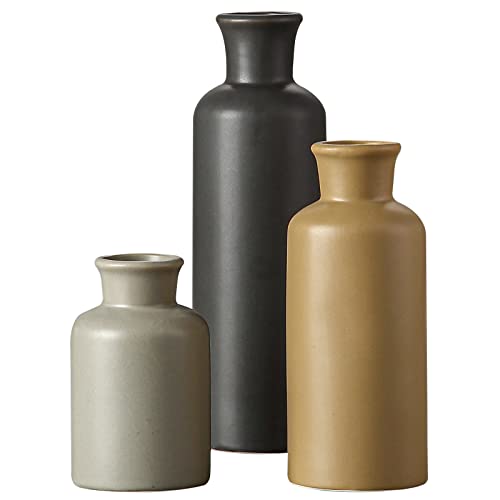 CWLWGO-Ceramic Vase Set of 3,Small Vases for Home Decor,Farmhouses Decorative vase,Suitable for Shelf Decor,Living Room Table Bookcase Fireplace Decorations.Multicolored. - color: Blown