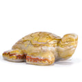 Artistone 2" Gemstone Sea Turtle Figurine, Hand Carved Natural Crystal Healing Animal Hawksbill Sculpture Paperweight Home Office Decor (Crazy Lace Agate) - color: Crazy Lace Agate