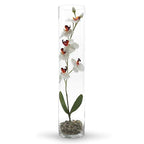 WGV Cylinder Vase, Diameter 5", Height 24", Clear Glass Floral Planter Container, Tall Centerpiece Arrangement for Wedding Party Event Home Office Decor, 1 Piece - size: 5"x24"H CL