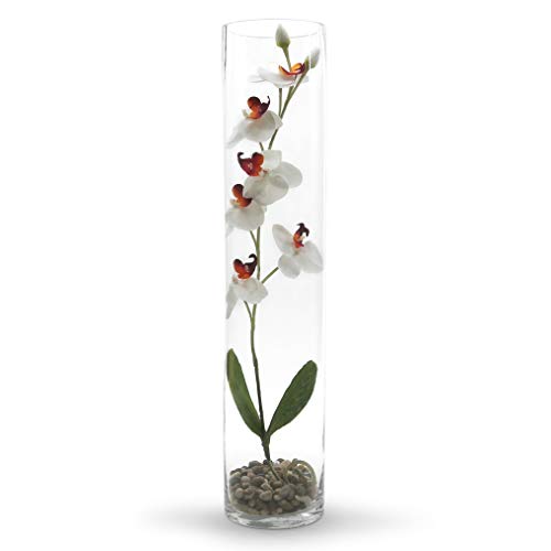 WGV Cylinder Vase, Diameter 5", Height 24", Clear Glass Floral Planter Container, Tall Centerpiece Arrangement for Wedding Party Event Home Office Decor, 1 Piece - size: 5"x24"H CL
