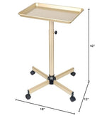 Salon Tray, Champagne Gold Salon Rolling Tray, Salon Service Tray Cart with Adjustable Height, Salon Tray on Wheels, Ideal Use As Tattoo Tray&Deantal Tray, No-Rusting - color: Champagne Gold