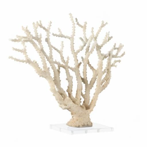 Deco 79 Polystone Coral Decorative Sculpture Home Decor Statue with Clear Acrylic Base, Accent Figurine 26" x 8" x 23", Cream - size: 26" x 8" x 23"