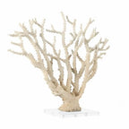 Deco 79 Polystone Coral Decorative Sculpture Home Decor Statue with Clear Acrylic Base, Accent Figurine 26" x 8" x 23", Cream - size: 26" x 8" x 23"