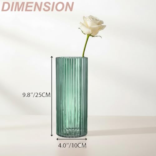 Green Glass Vase, Glass Flower Vase, Ribbed Glass Vase, Green Vase, Tall Cylinder Glass Vases for Centerpieces, Living Room, Bedroom, Dining Table, Office, Wedding, Bookshelf, 10 Inches - color: Green, size: 10''