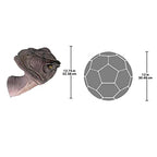 Design Toscano Giant Allosaurus Dinosaur Wall Trophy Sculpture, Mouth Closed - style: Allosaurus Dinosaur: Mouth Closed