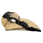 mookaitedecor Natural Grass Flower Jasper Stone Raven Skull Figurine, Gothic Raven Statue Animal Carving Sculpture for Collection Home Decor - style: Raven Skull Head
