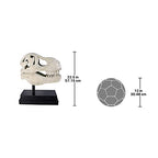 Design Toscano T-Rex Dinosaur Skull Fossil Statue on Museum Mount - style: T-Rex Dinosaur Skull