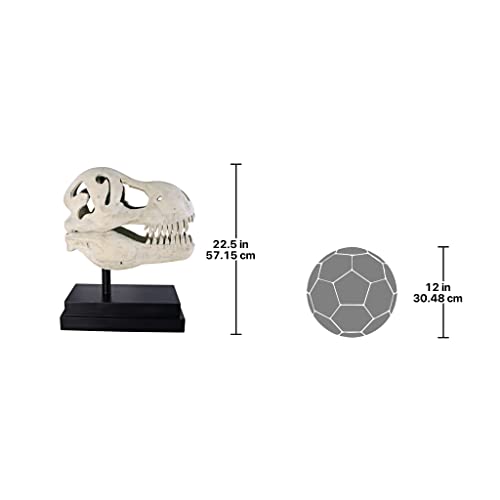 Design Toscano T-Rex Dinosaur Skull Fossil Statue on Museum Mount - style: T-Rex Dinosaur Skull