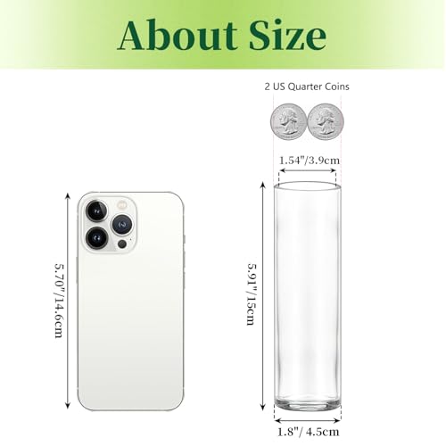 Hewory Cylinder Glass Bud Vases: Set of 12 Small Clear Skinny Single Flower Vase for Centerpieces - Minimalist Bulk Vases for Wedding Birthday Bridal Shower Party Events Table Decor, 5.91"(H)×1.8"(D)
