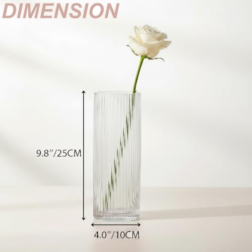 Clear Glass Vase, Glass Flower Vase, Ribbed Glass Vase, Clear Vase, Tall Cylinder Glass Vases for Centerpieces, Living Room, Dining Table, Office, Wedding, Bookshelf Decoration, 9.8 Inches - color: Clear, size: 10''