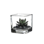 WGV 3 Inch Clear Square Cube Glass Votive Candle Holder Vase, Small Tiny Mercury Tea Light Terrarium Décor 3x3”, 1 Pc - color: Clear-square-3"