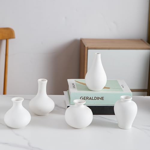 White Ceramic Bud Vase Set of 5, Mini Vases for Flowers, Decorative Small Vases for Home Decor, Boho Wedding Centerpieces, Living Room, Dining Table & Shelf Decor - color: E-small White Vase Set of 5