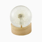 Real Dandelion Specimen in Clear Resin Sphere with Solid Wood Base - 2.36" Preserved Natural Dandelion Display, Botanical Home Decor, Scientific Collectible - color: Dandelion Specimen (2.36" Diameter)