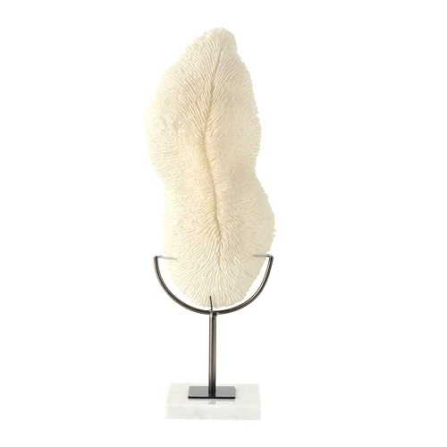 Deco 79 Polystone Coral Decorative Sculpture Abstract Textured Home Decor Statue with Gray Stand and Acrylic Base, Accent Figurine 7" x 5" x 19", Cream - size: 7" x 5" x 19"