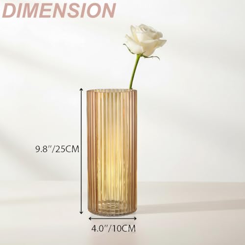 Amber Glass Vase, Flower Vase, Ribbed Glass Vase, Modern Vase for Flowers, Tall Glass Vase for Living Room, Dining Table, Office, Wedding, Bookshelf, 10 Inches - color: Amber, size: 10''