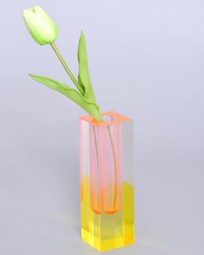 Acrylic Vase, Bud Vase for Centerpieces, Maximalist Decor Cute Flowers Vases for Modern Home, Office, Bedroom, Living Room, Dining Table (Pink, Yellow) - color: Pink, Yellow