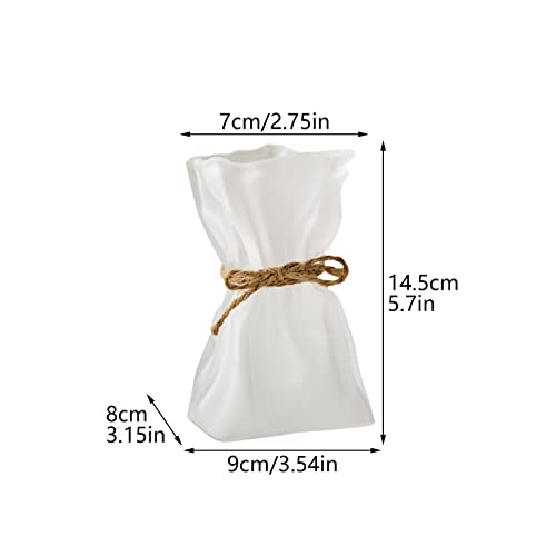 Irregular Shaped Vase for Flower, Unique Matte Glass Vase with Rope Crinkle Paper Design Hydroponic Art Flower Vase for Wedding, Dinning, Bookshelf, Home Decoration or Gift(Transparent)
