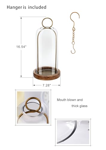 16" High Versatile Vintage Brass Metal Candle Holder with Handmade Sturdy Glass Dome and Natural Wooden Base for Pillar Candle & Plants, Industrial, Farmhouse, Shabby Chic, Display Cloche Bell Jars - color: Brass, size: 7"x16"