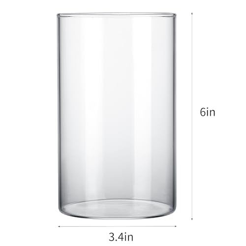 CUCUMI 12pcs Glass Cylinder Vases for Centerpieces, Flower Vases Wedding Decorations, 6 Inch Tall Glass Candle Holder for Table Shelf, Floral Vase Bulk for Home Decor