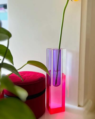 Acrylic Vase, Bud Vase for Centerpieces, Maximalist Decor Cute Flowers Vases for Modern Home, Office, Bedroom, Living Room, Dining Table (Pure Purple, Peach Powder) - color: Purple，pink