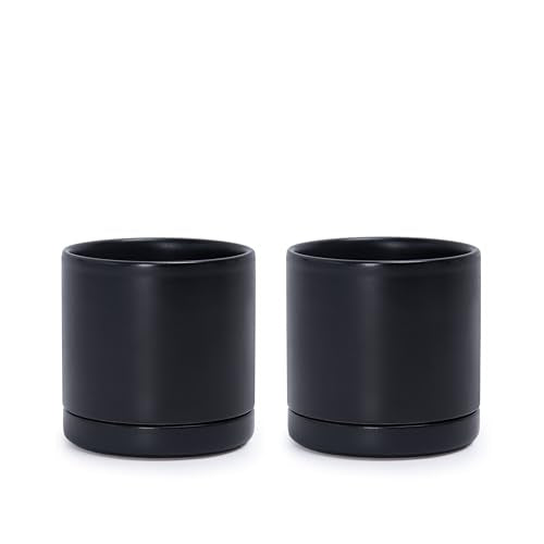 D'vine Dev Set of 2 Plants Pots, 3.5 Inch Ceramic Planter Pot for Plants with Drainage Hole and Saucer, Black, 94-V-A-2 - color: Black, size: 3.5 Inch