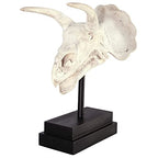 Design Toscano NE867039 Triceratops Dinosaur Skull Fossil Statue on Museum Mount,Multicolored - style: Triceratops Dinosaur Skull