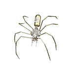 Steampunk Spider Metal Model Kit for Adults – DIY Mechanical Insect Sculpture with Brass Gear Details, 3D Retro Industrial Art Puzzle Craft for Home Office Decoration & Collectors Gift (Frons Spider) - style: Frons Spider