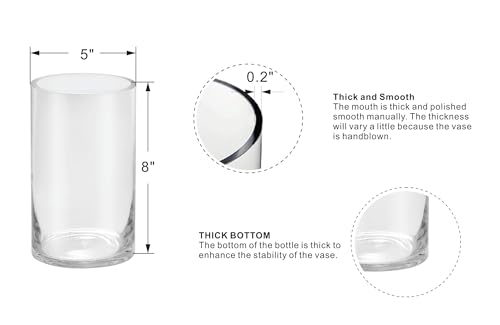 5’ Wide 8" High Large Hand Blown Sturdy Clear Cylinder Glass Vase, Centerpiece Flower Vase for Rose, Tulip, Boquets, Hurricane Candle Holder (1, 5"x8") - size: 5"x8"
