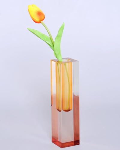 Acrylic Vase, Bud Vase for Centerpieces, Maximalist Decor Cute Flowers Vases for Modern Home, Office, Bedroom, Living Room, Dining Table (Fluorescent Orange, Brown) - color: Orange, Brown
