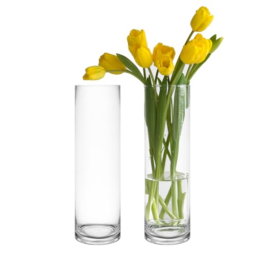 CYS Excel 2 PCS Clear Glass Cylinder Vase (D:4" H:14") Flower Vase Centerpieces Hurricane Floating Candle Holder - size: 4" wide x 14" tall