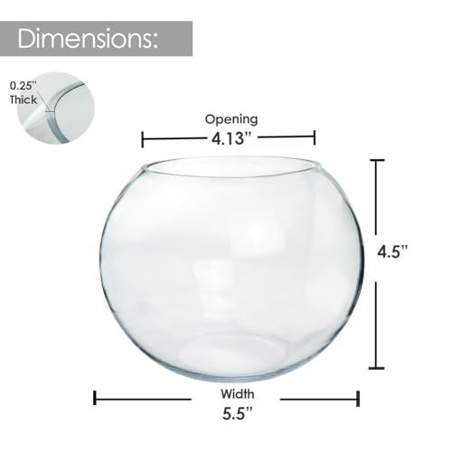 Craft And Party, Glass Bubble Bowl, 4.5" Height x 6" Width Glass Fish Bowl Vase, Bubble Bowl vase for Terrarium, Flower vase Centerpiece - size: Bubble Bowl : 4.5"H x 5.9"W