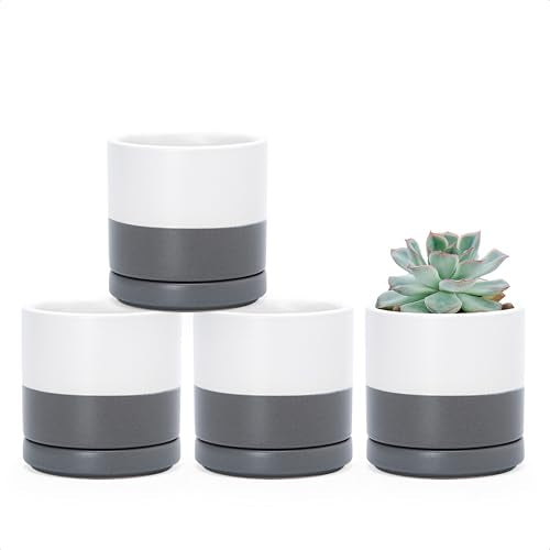 D'vine Dev Set of 4 Small Ceramic Plant Pots, 3.5 Inch Succulent Planter Pot for Plants with Drainage Hole and Saucer, White/Speckled Grey, 94-X-A-6 - color: White/Speckled Grey, size: 3.5 Inch