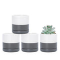 D'vine Dev Set of 4 Small Ceramic Plant Pots, 3.5 Inch Succulent Planter Pot for Plants with Drainage Hole and Saucer, White/Speckled Grey, 94-X-A-6 - color: White/Speckled Grey, size: 3.5 Inch