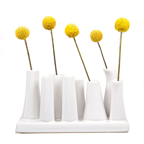 Chive - Pooley 2, Ceramic Flower Vase, 8-Tube Shape (White) - color: White
