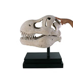 Design Toscano T-Rex Dinosaur Skull Fossil Statue on Museum Mount - style: T-Rex Dinosaur Skull