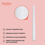 BOLSIUS 20 Count Unscented 10 Inch White Household Taper Candles - 8 Hours Burning Time - Premium European Quality - Smokeless Dripless Candlesticks - Perfect for Weddings, Parties, and Everyday Use - color: White, size: 20 Count