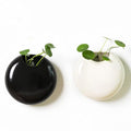 2 Pack Wall Hanging Planters, 4 Inch Round Ceramic Wall Mounted Planter Holder for Propagating Hydroponics Plants, Air Plants, Succulent (Plant NOT Included)