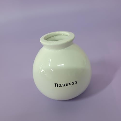 Baaevxx Flower Vases – Minimalist Design, Ideal for Home or Office Decoration