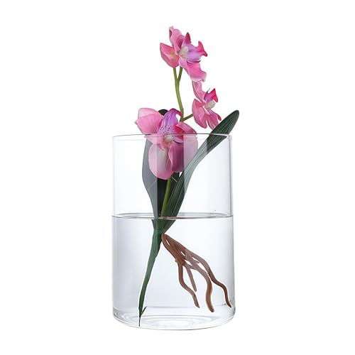 4 Inch Tall Clear Glass Cylinder Vase Flower Vase Decorative Table Centerpiece Arrangement Candle Holder High Hydroponic Floral Vase for Plants Bouquet Wedding Home Decor