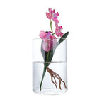 4 Inch Tall Clear Glass Cylinder Vase Flower Vase Decorative Table Centerpiece Arrangement Candle Holder High Hydroponic Floral Vase for Plants Bouquet Wedding Home Decor
