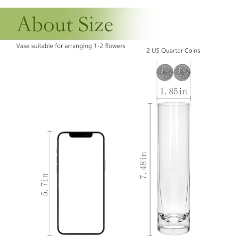 Brajttt 7.48 inch Tall Vases for Flowers,12PCS Glass Cylinder Vase, Single Rose Bud Vase for Event Decor,Bud Vases in Bulk for Wedding Centerpieces,Home Aesthetic Desk Decor, Party Decorations