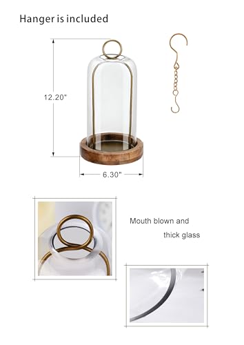 12" High Versatile Vintage Brass Metal Candle Holder with Handmade Sturdy Glass Dome and Natural Wooden Base for Pillar Candle & Plants, Industrial, Farmhouse, Shabby Chic, Display Cloche Bell Jars - color: Brass, size: 6"x12"