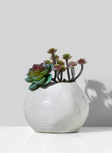 Serene Spaces Living Glazed Ceramic Fishbowl Vase, Set of 4- Centerpiece for Vintage Weddings, Events, Measures 4" Tall and 5" Diameter - color: 5" Fishbowl Vase, 4 Pcs