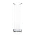 CYS Excel Clear Glass Cylinder Flower Vase, 14" Height x 4" Diameter, Elegant Hand-Blown Glass Wedding Floral Centerpiece Versatile Hurricane Candle Holder - size: H-14" D-4"