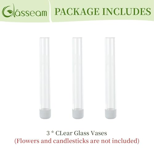 Glasseam Glass Bud Vase for Flowers: 3pcs Clear Small Vases for 22mm Candlestick Taper Candle Holders - 5.9" Skinny Table Centerpieces with Silicon Case for Tablescapes, Wedding Gift and Home Decor