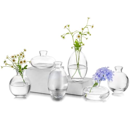 Glass Bud Vase for Centerpieces, 6Pcs/2Sets Glasseam Modern Clear Mini Small Vases for Flowers Bulk Flower Vase Set Aesthetic Cute Handmade Tiny Short Wedding Table Centerpiece Decor - color: Clear, size: 2 Sets