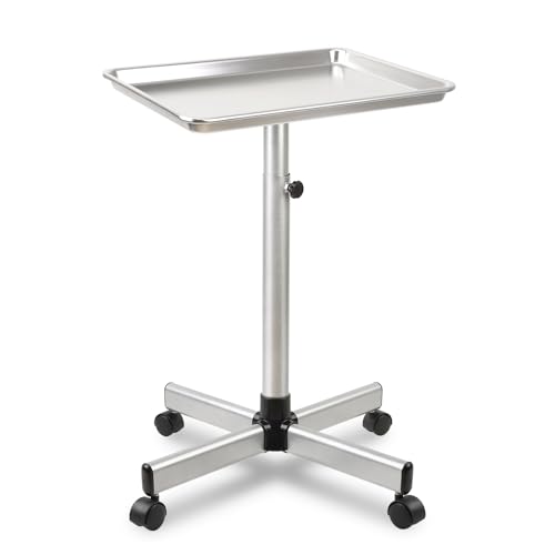 Salon Tray on Wheels, Rolling Tattoo Tray, Adjustable Hair Stylist Tray, Metal Mayo Stand Tray, Salon Color Tray Use As Medical Tray, No-Rusting - color: Silver