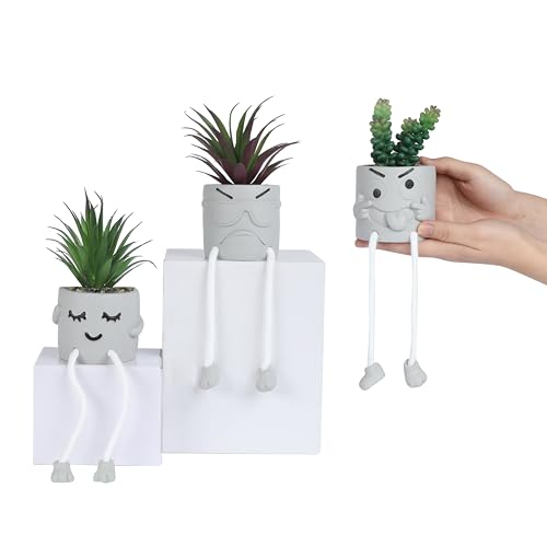 OLEEK Small Fake Plant Office Desk Decor - Desk Plants for Office Decorations for Work - Decorative Plants Decor - Funny Office Decor for Women - Fake Succulents Plants Artificial Home Decor Shelf - size: collection C (set of 3)