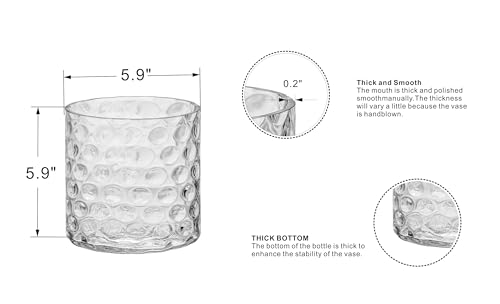 6" Wide 6" High Decorative Glass Cylinder Vase with Dimpled Circle Pattern, 8 Inch Tall, Clear (1, 6"x6") - size: 6"x6"